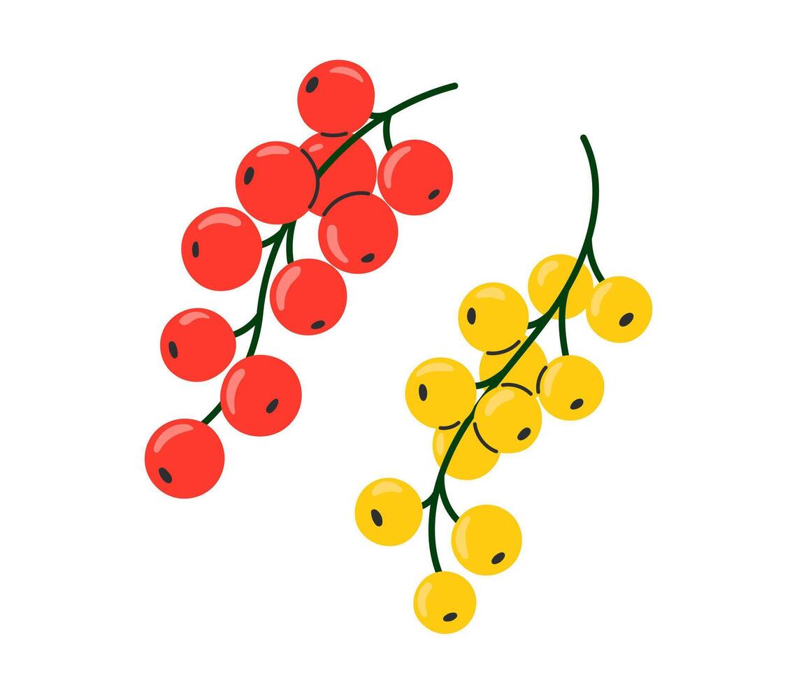 Red and yellow curran. Fresh summer juicy berry. Flat illustration isolated vector