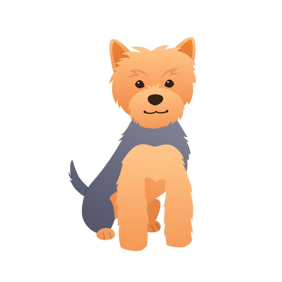 Adorable Yorkshire Terrier puppy sitting on white background. Small cute dog illustration vector