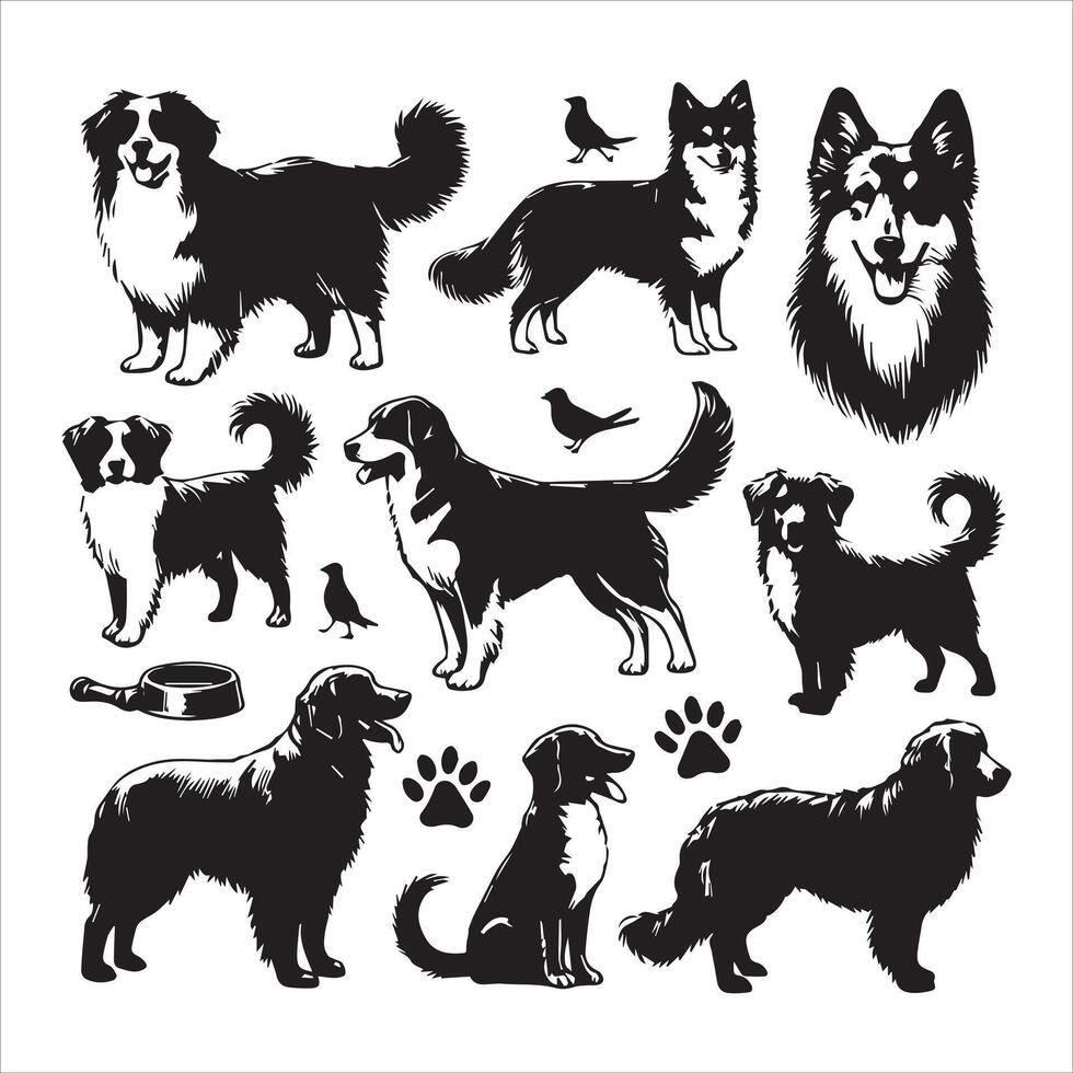 Print A collage of a dog a plant in an illustrated frame risograph silhouette white background vector