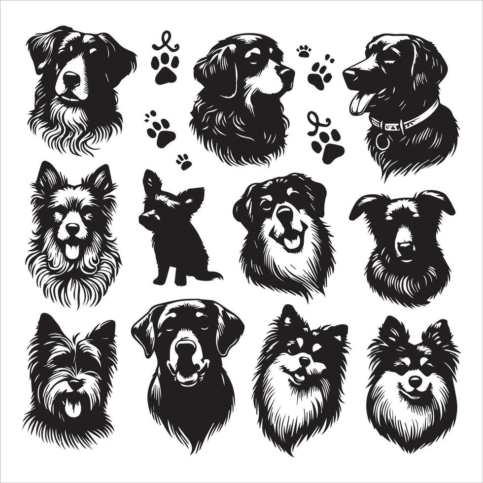 Print A collage of a dog a plant in an illustrated frame risograph silhouette white background vector