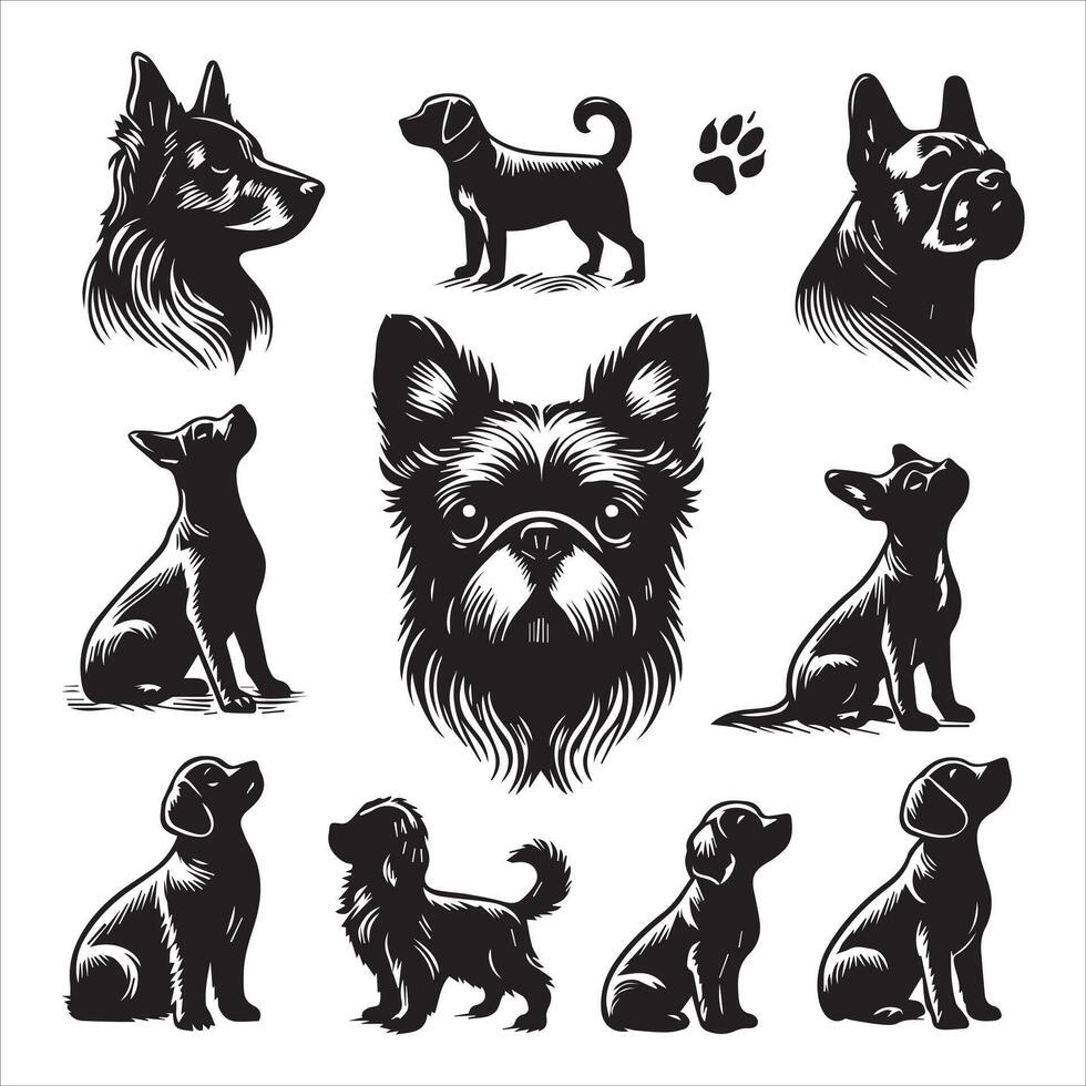 Print A collage of a dog a plant in an illustrated frame risograph silhouette white background vector