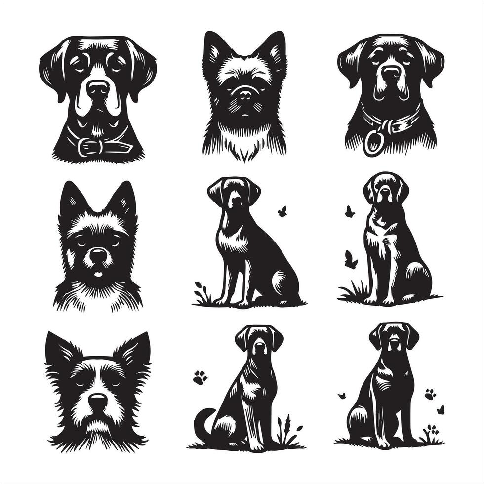 Print A collage of a dog a plant in an illustrated frame risograph silhouette white background vector