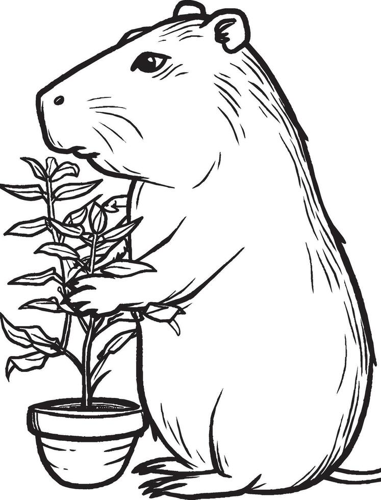 Capybara Coloring Page, Capybara Line Art, vector