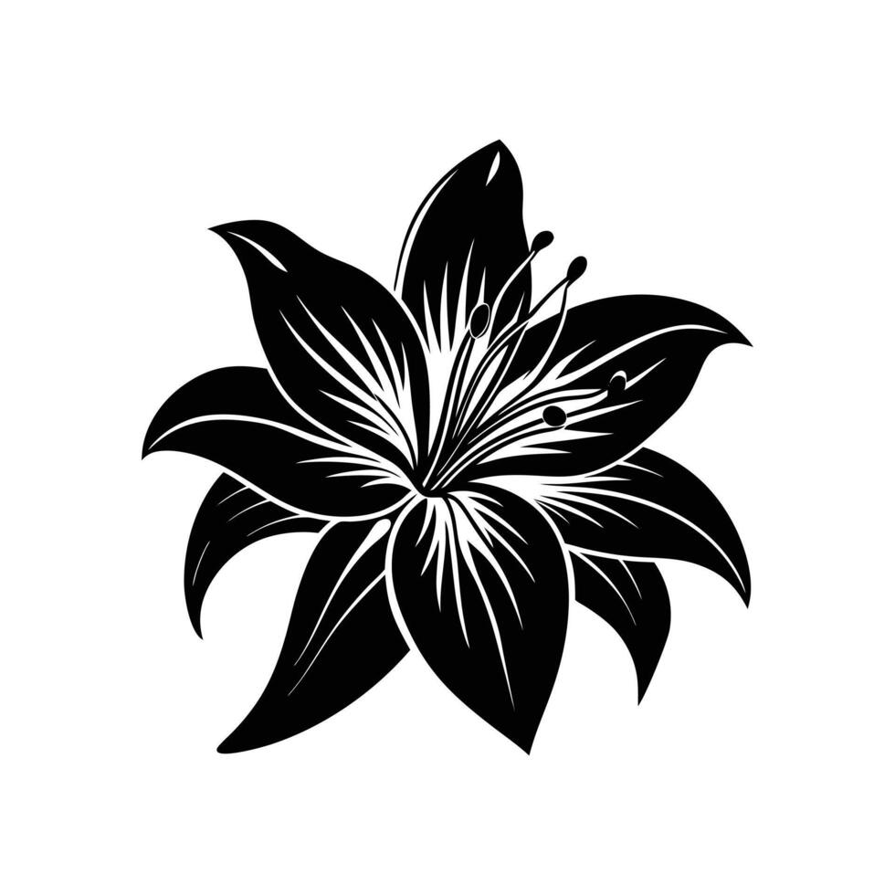 Lily flower silhouette vector