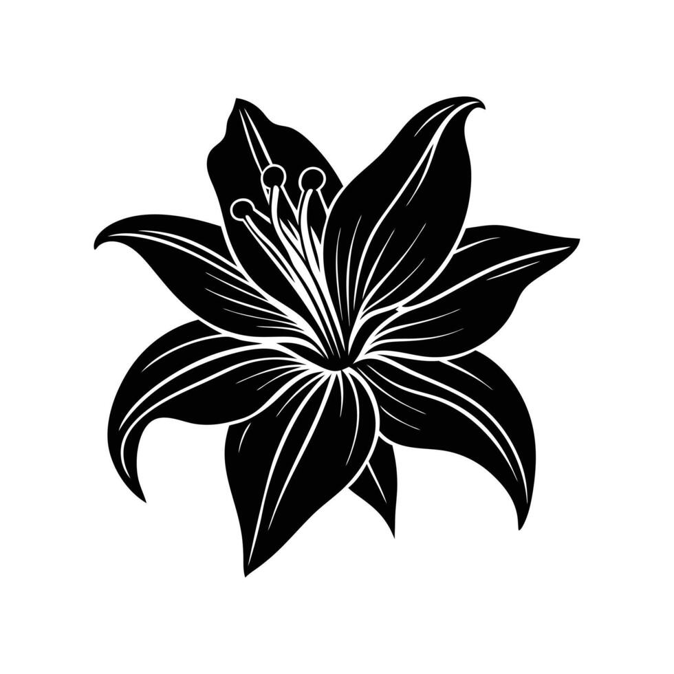 Lily flower silhouette vector