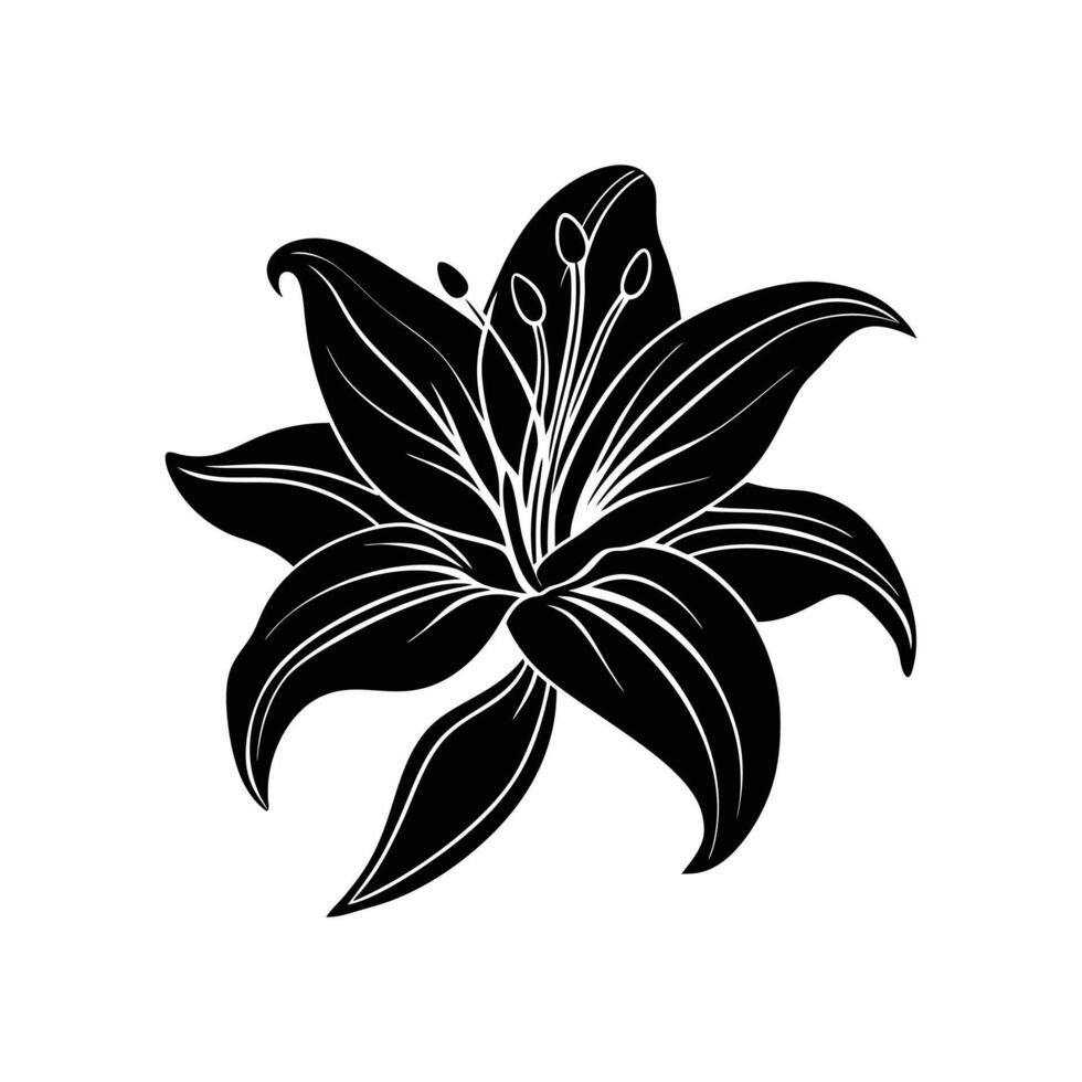 Lily flower silhouette vector