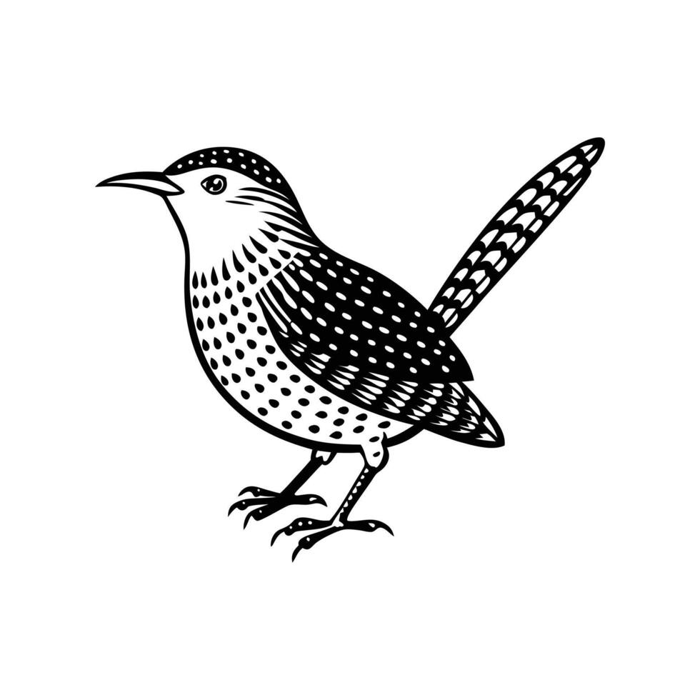 cactus wren bird silhouette vector