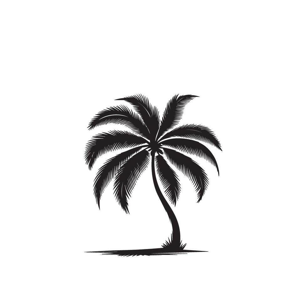 Plam tree silhouette. Date tree silhouette. palm tree logo, icon design black and white. vector