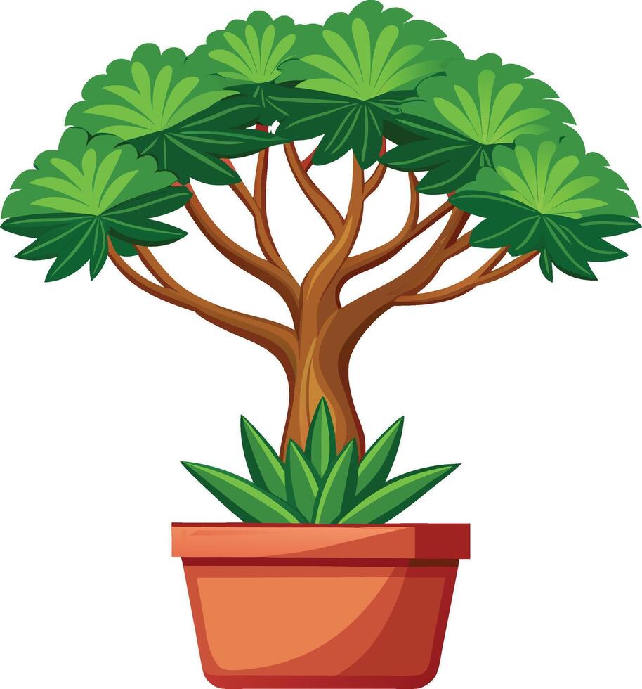 Dragon Tree On A Pot Cartoon Illustration vector