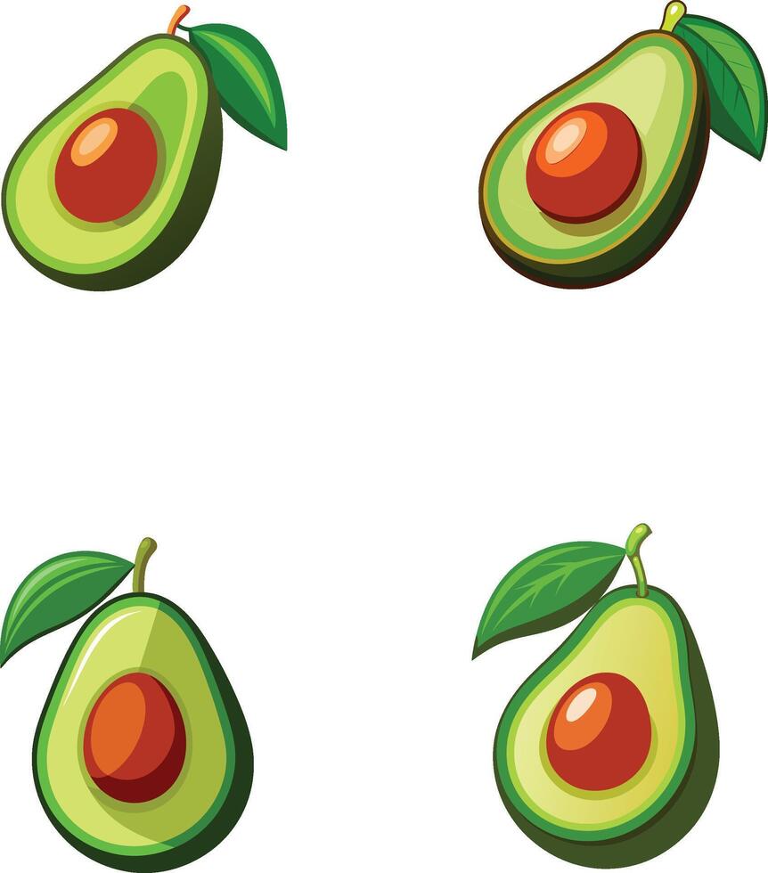 Avocado Beautiful Illustration vector