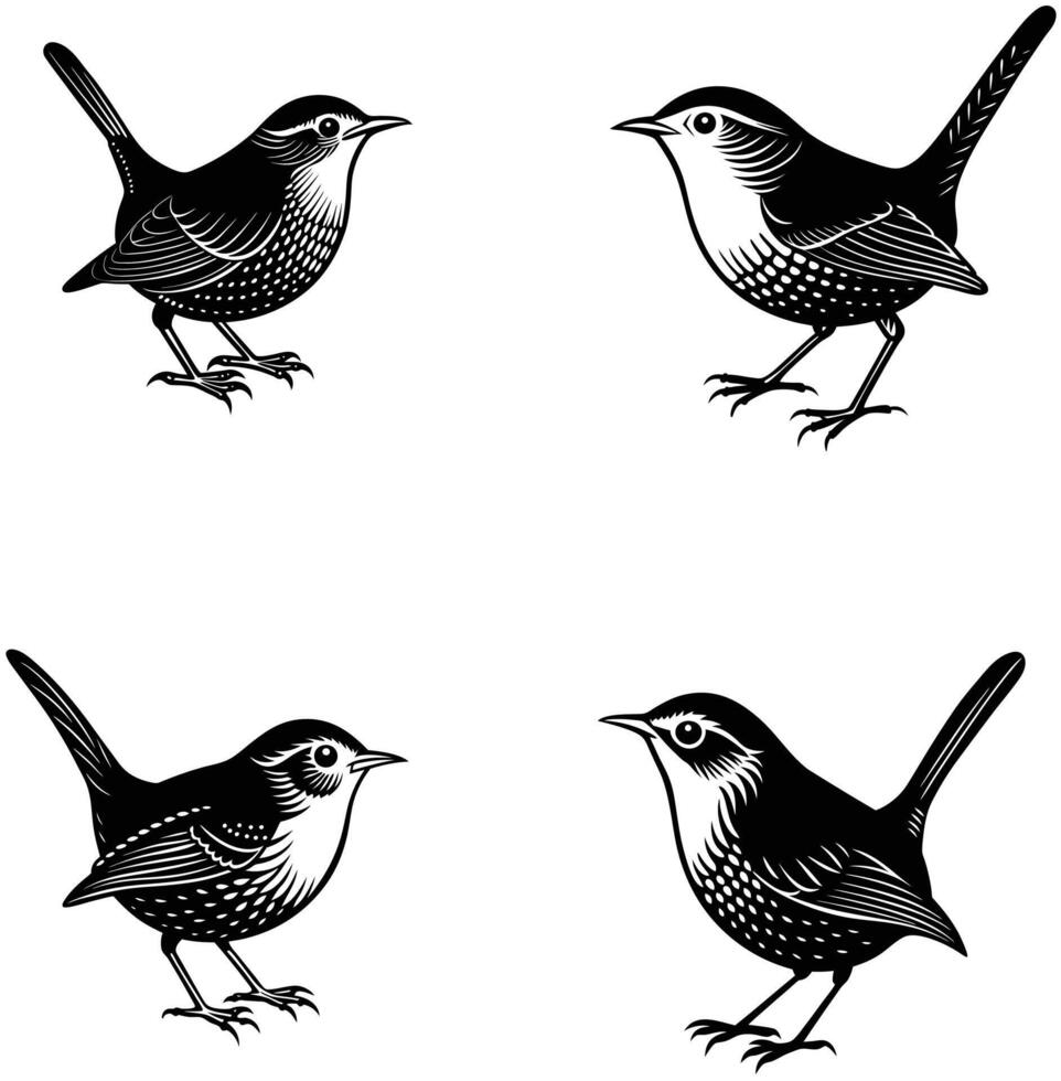 Birds Silhouette Illustration vector