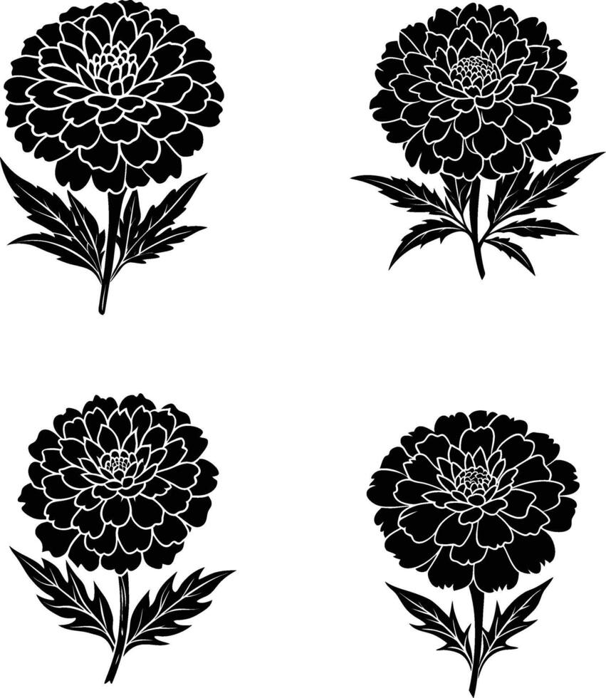 Marigold Flower Silhouette vector