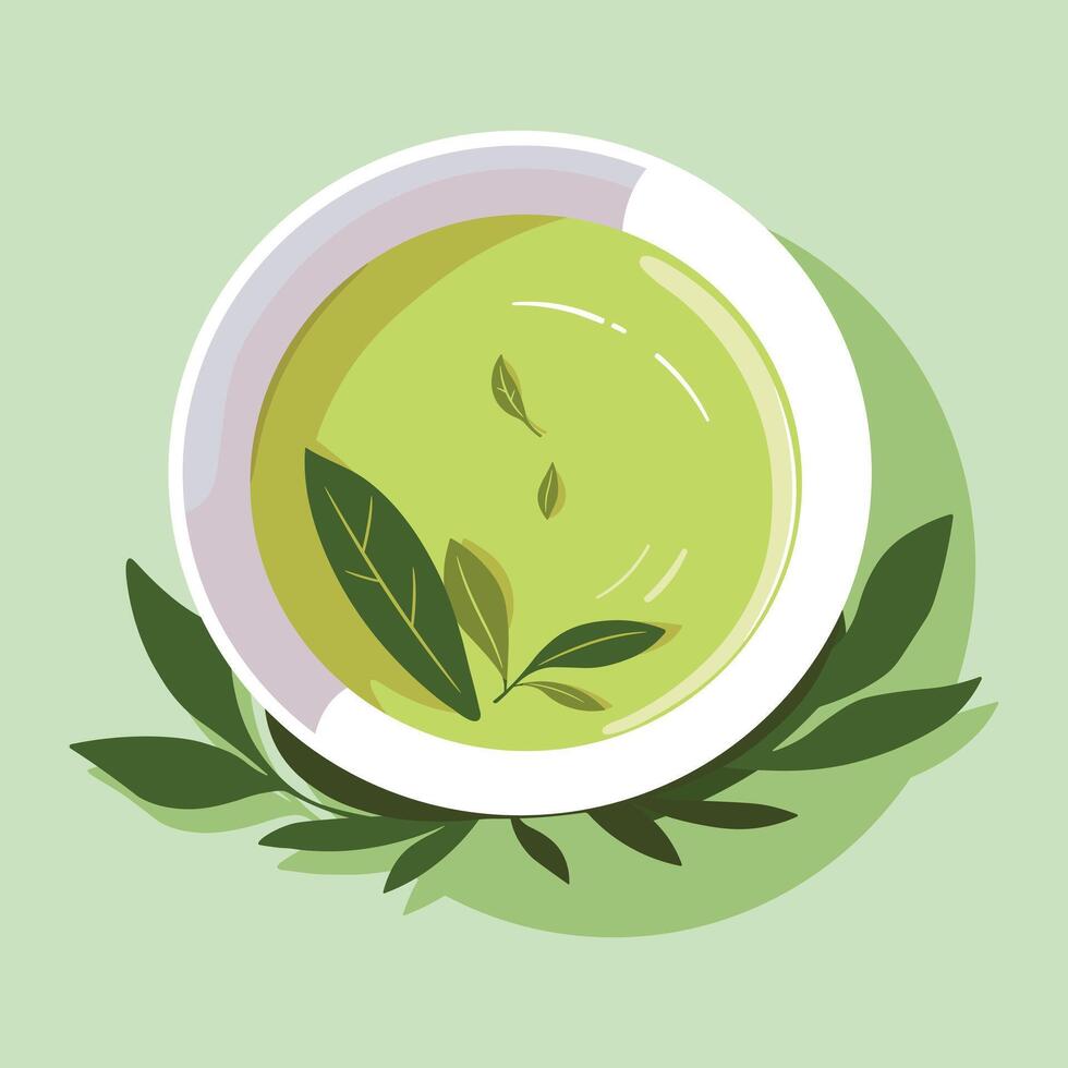 Green tea, food and drink concept. Health drink. Illustration isolated on green background. vector