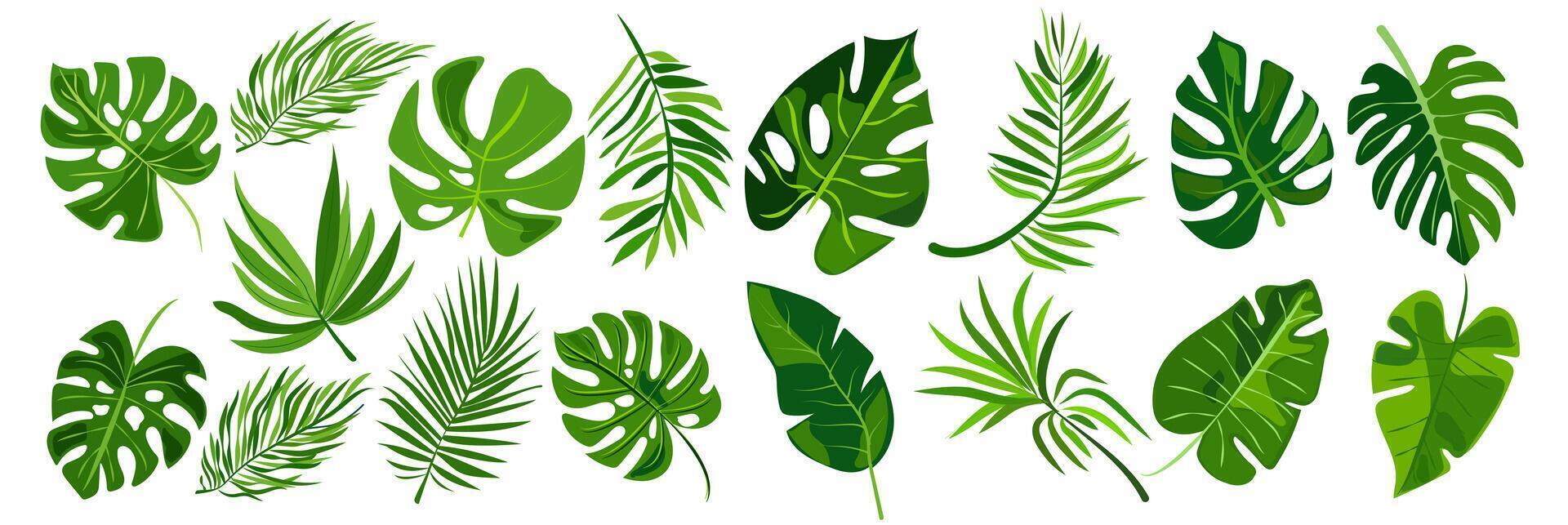 features eight different types of green leaves, each with distinct shapes, botanical designs, ideal for nature, related graphics and design projects vector