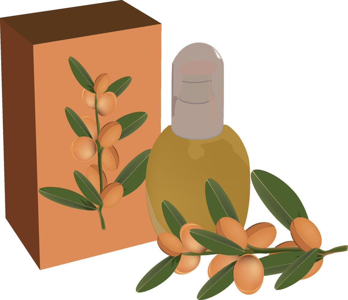 packaging and bottle with argan ilio for aesthetics- vector