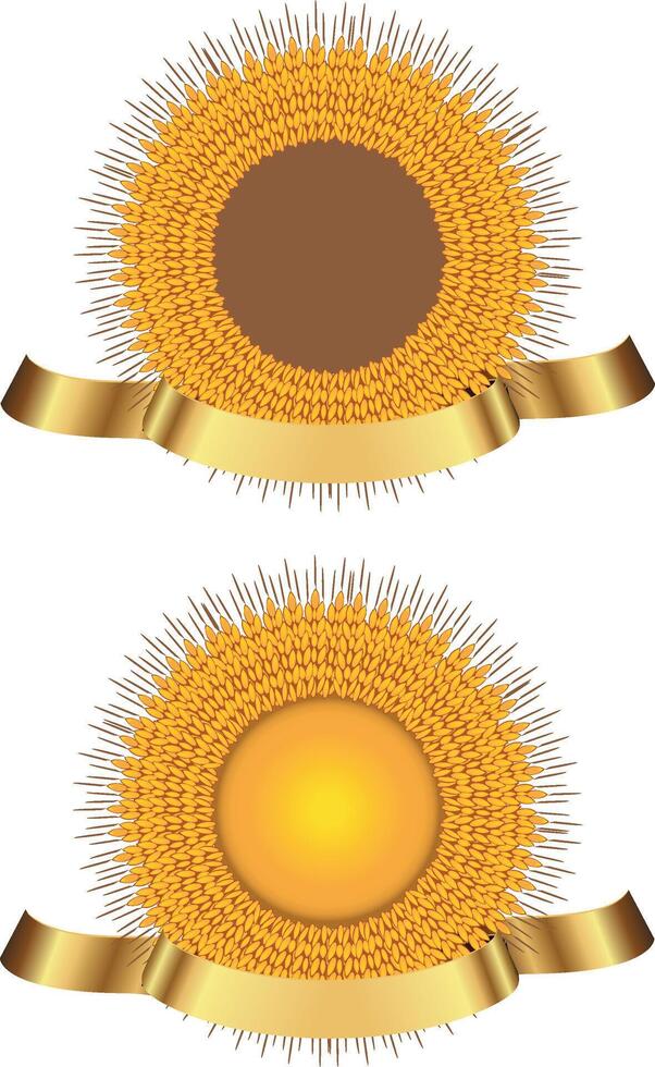 Circular wheat laurel wreath with ribbon banner award vector