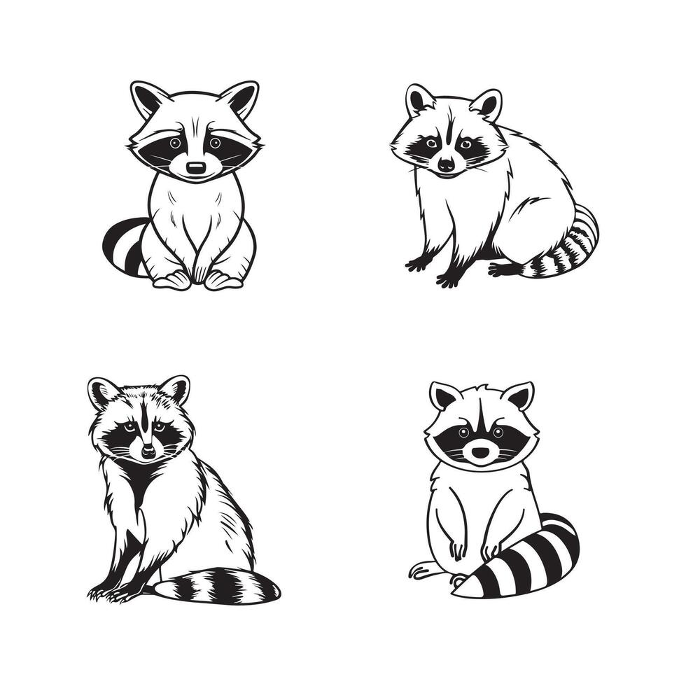 Four black and white line drawings of raccoons sitting. Silhouette illustration vector