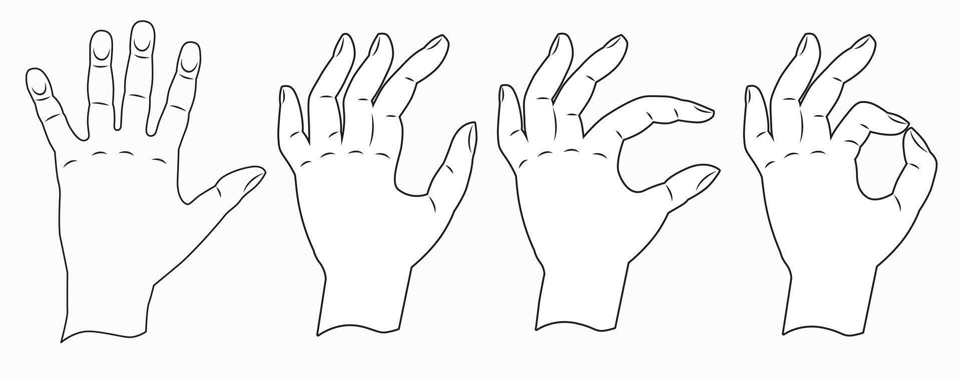 Hands show the sign everything is fine. Hands drawn with a thin line. vector