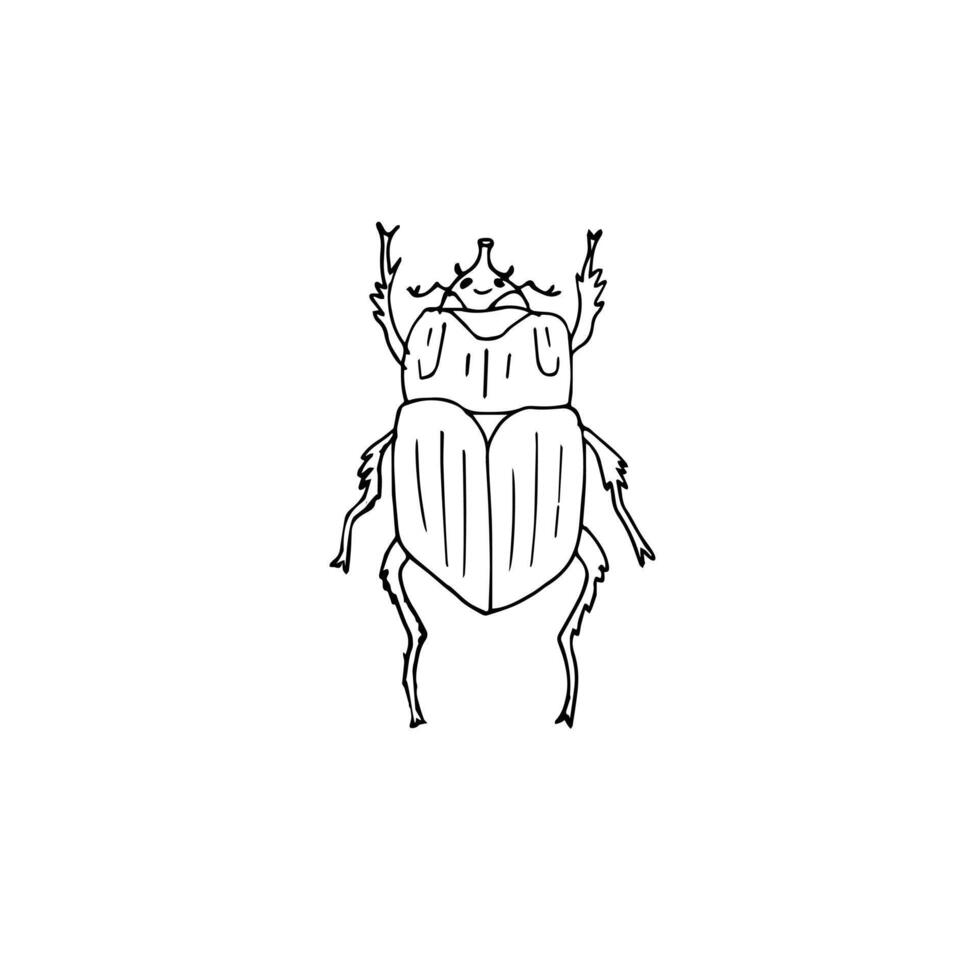 Hand drawn doodle sketch bug beetle vector