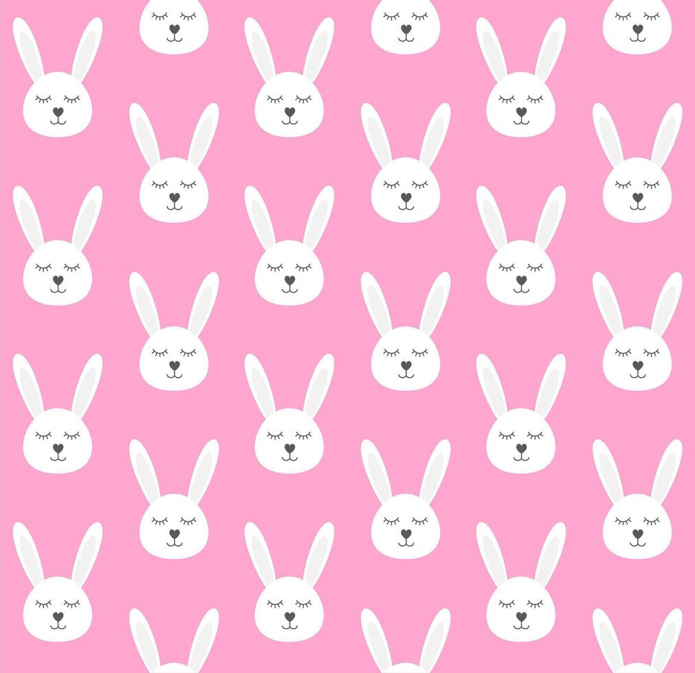 Pattern of rabbit vector