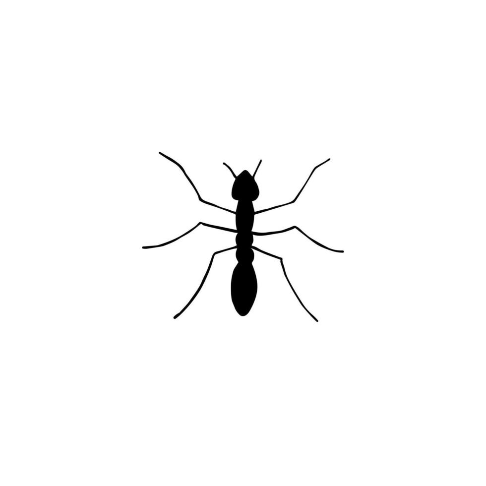 Hand drawn doodle sketch ant vector