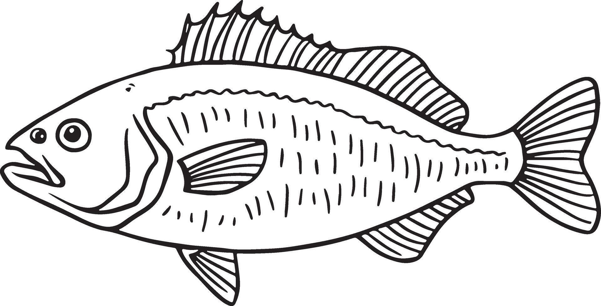 Line Artwork of herring fish vector