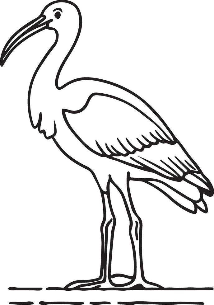 Line Art of Ibis vector