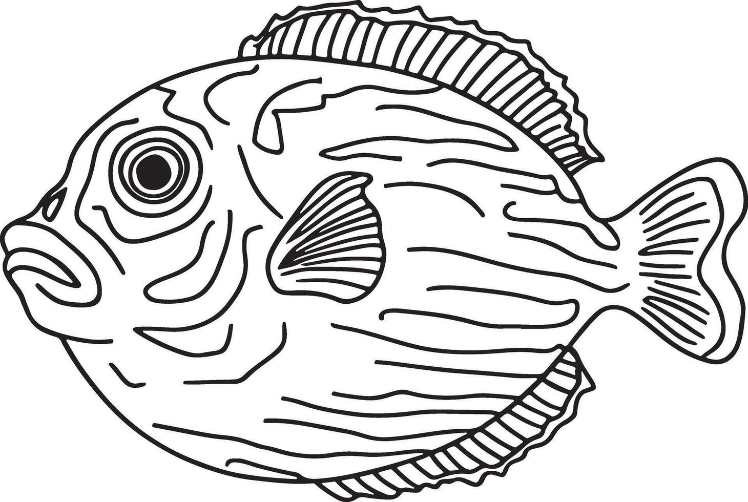 Line Artwork of Duffer fish vector
