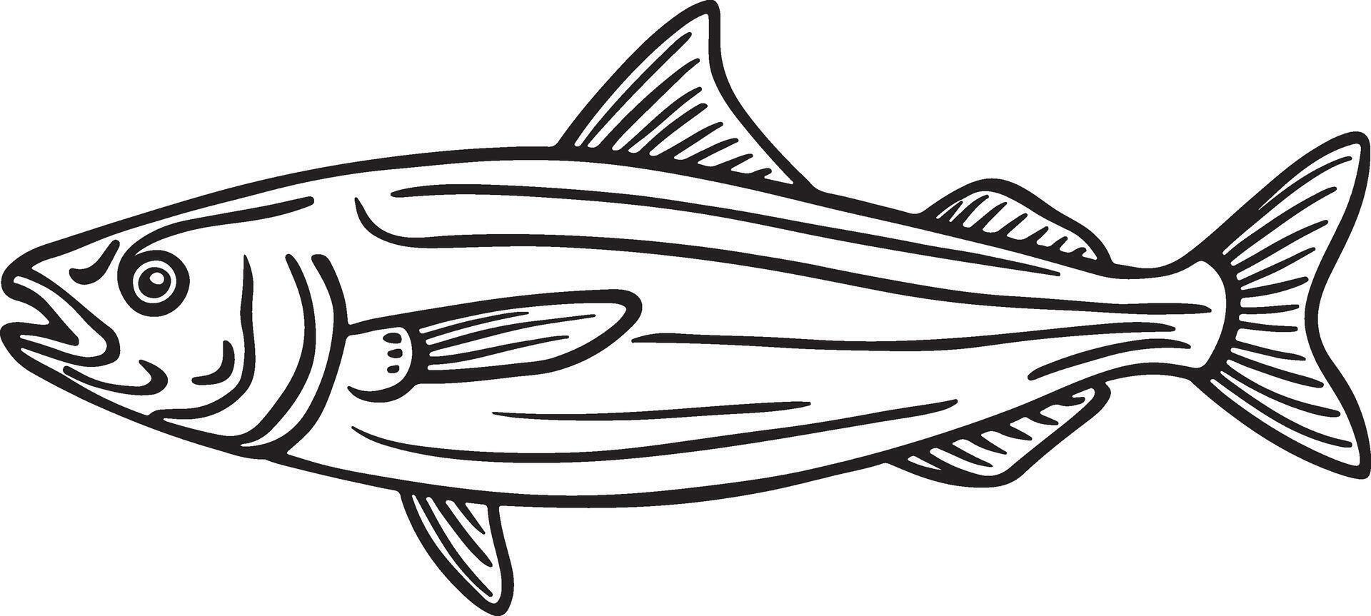 Line Artwork of anchovy fish vector
