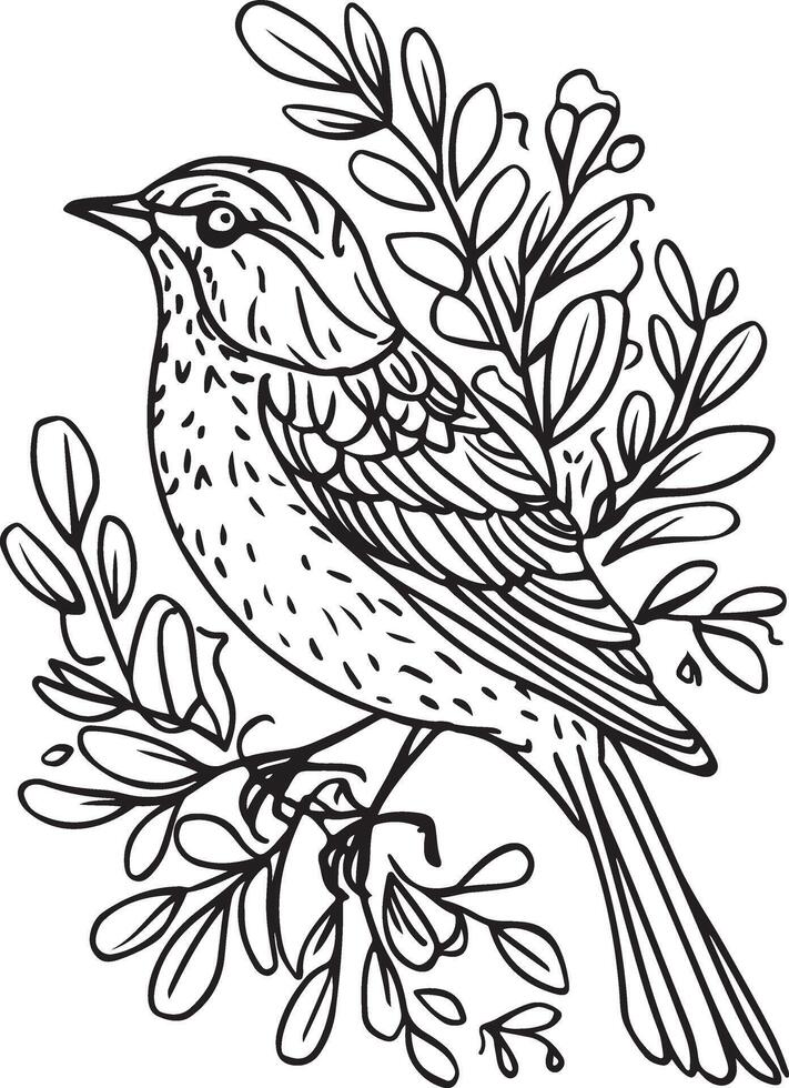 black single-line-drawing-of-a nightingale vector