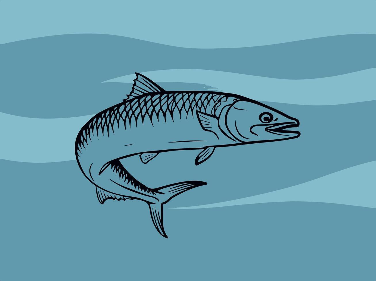 Illustrator Artwork of mackerel fish vector