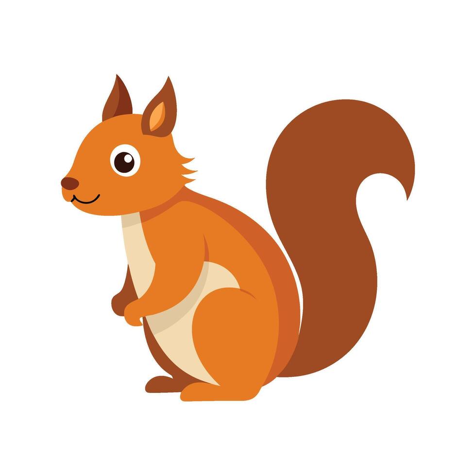 Squirrel Cartoon drawing on white background vector