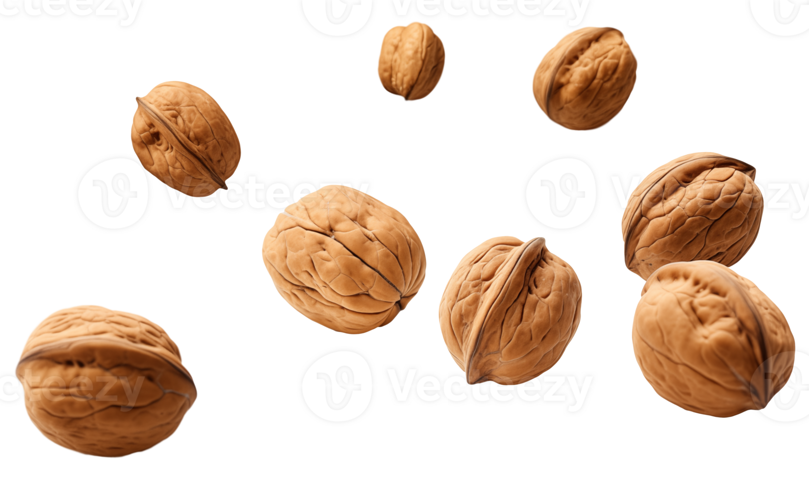 Falling walnuts, full body, on a transparent background png