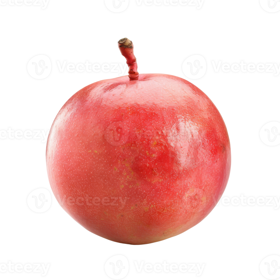 A single whole mango with a refreshing layer of dew drops, presented in a high-quality image against a black background. png