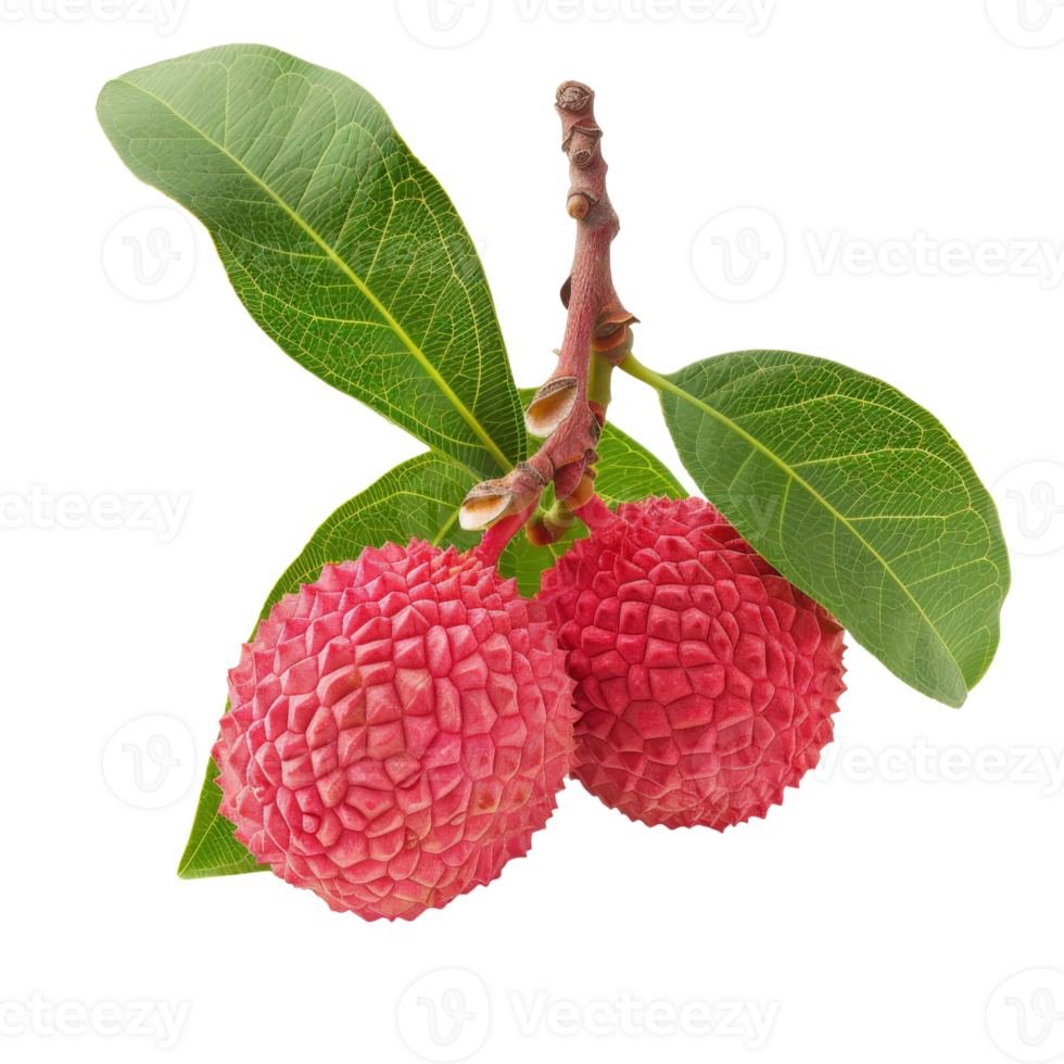 Vivid depiction of fresh lychee fruits with detailed texture and attached green leaves, showcased on a black background. png