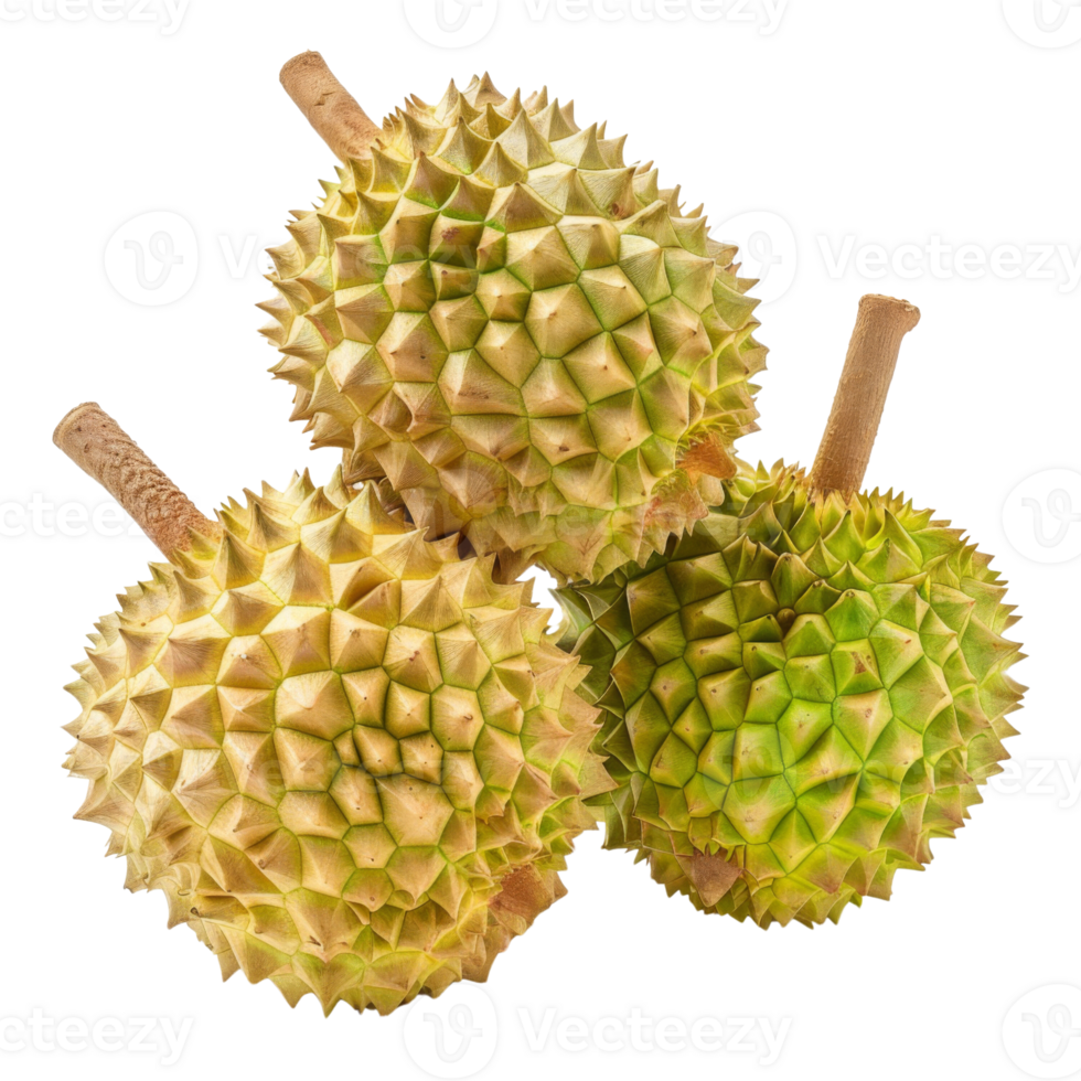 A trio of whole durians with their distinctive spiky shells, captured in high detail against a stark black background. png