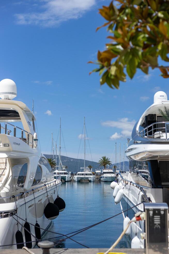 Montenegro, Porto Montenegro, Tivat, 03.July 2024. view from the promenade of yachts and boats in the port on a sunny day, Adriatic photo