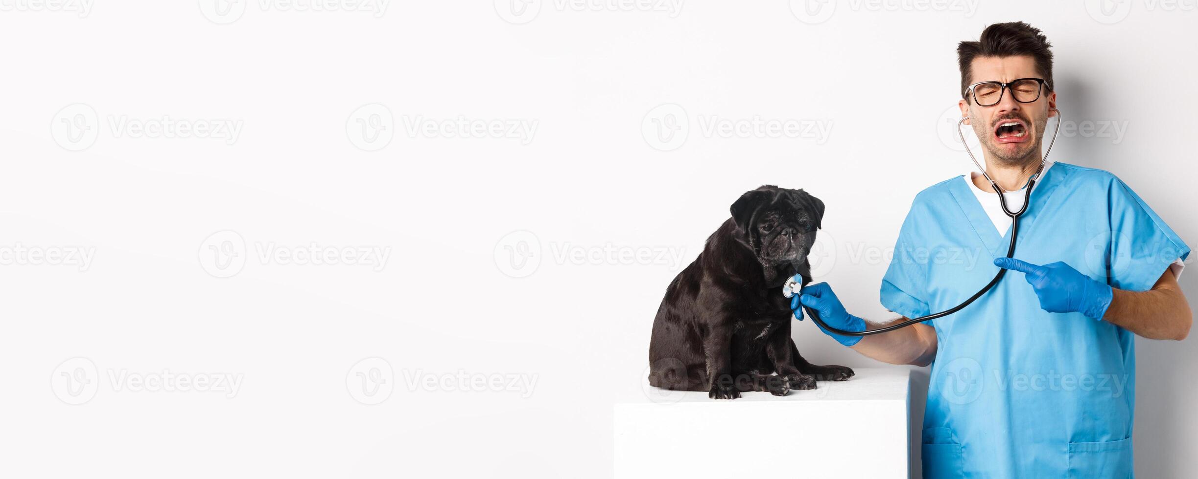Sad male vet doctor examining cute little dog pug with stethoscope, pointing at pet and crying, standing over white background photo