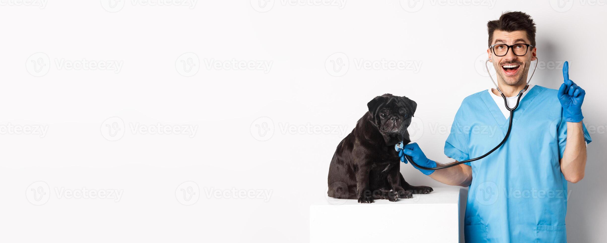 Handsome doctor veterinarian smiling, examining pet in vet clinic, checking pug dog with stethoscope, pointing finger up at promo banner, white background photo