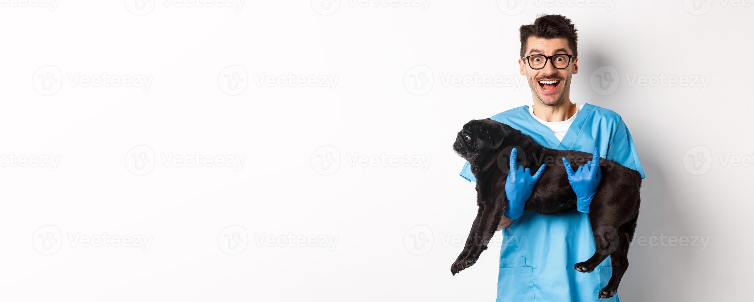 Vet clinic concept. Happy male doctor veterinarian holding cute black pug dog, smiling at camera, showing rock-n-roll gesture, white background photo