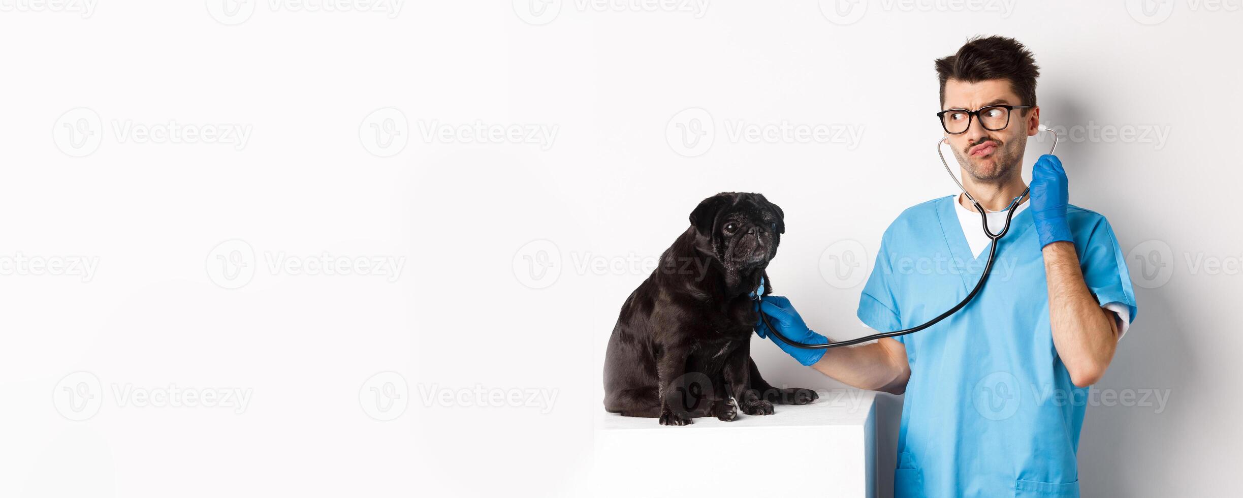 Confused male doctor veterinarian checking dog with stethoscope, looking puzzled, standing over white background photo