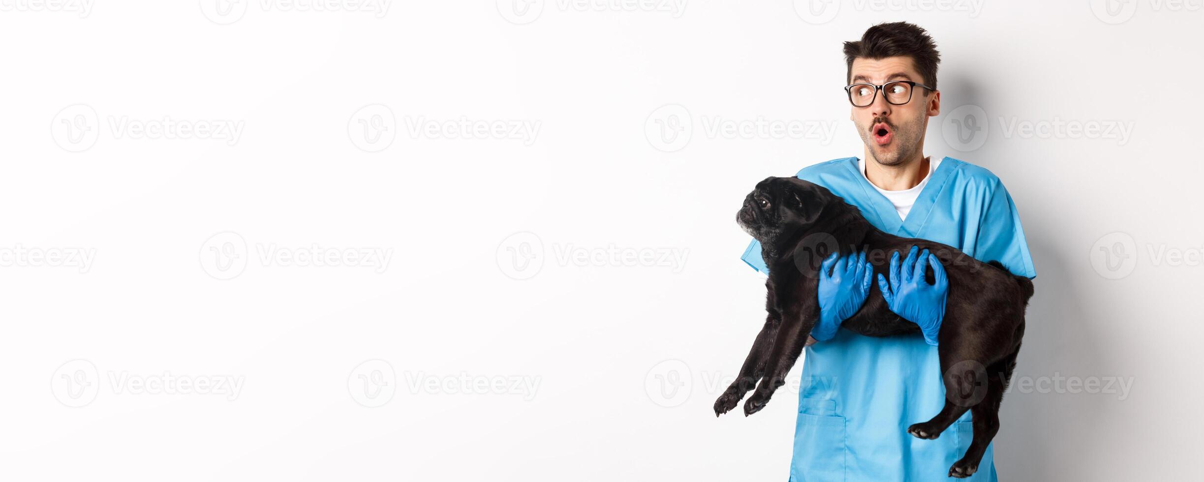 Vet clinic concept. Amazed male doctor veterinarian holding cute black pug dog, smiling and staring left impressed, standing over white background photo