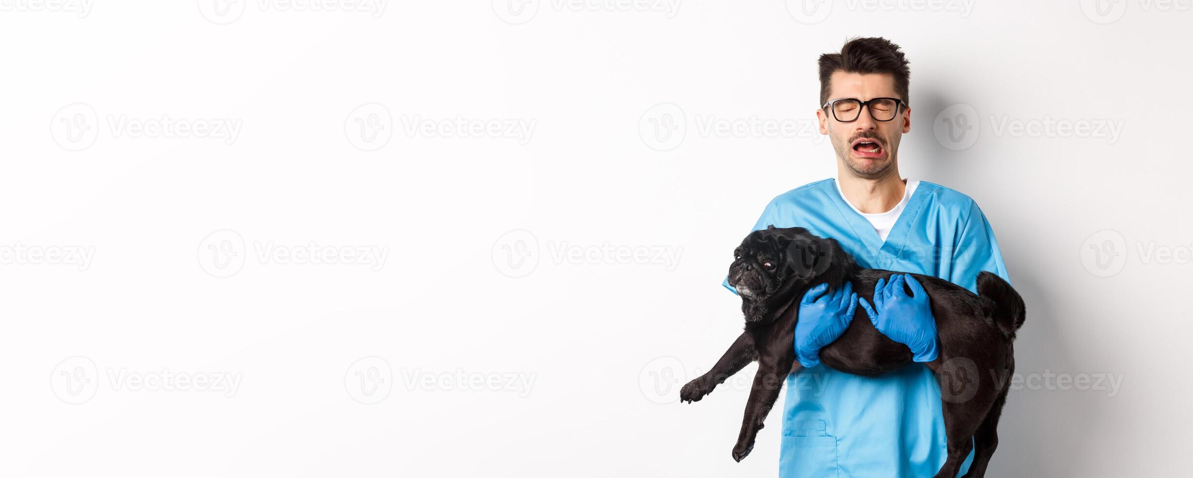 Vet clinic concept. Sad veterinarian holding black pug dog and crying, sobbing with miserable face, standing over white background photo