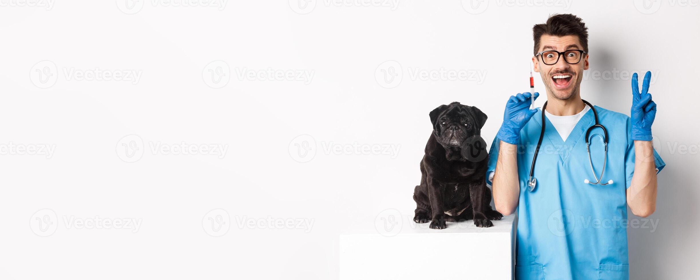 Handsome doctor veterinarian holding syringe and standing near cute black pug, vaccinating dog, white background photo