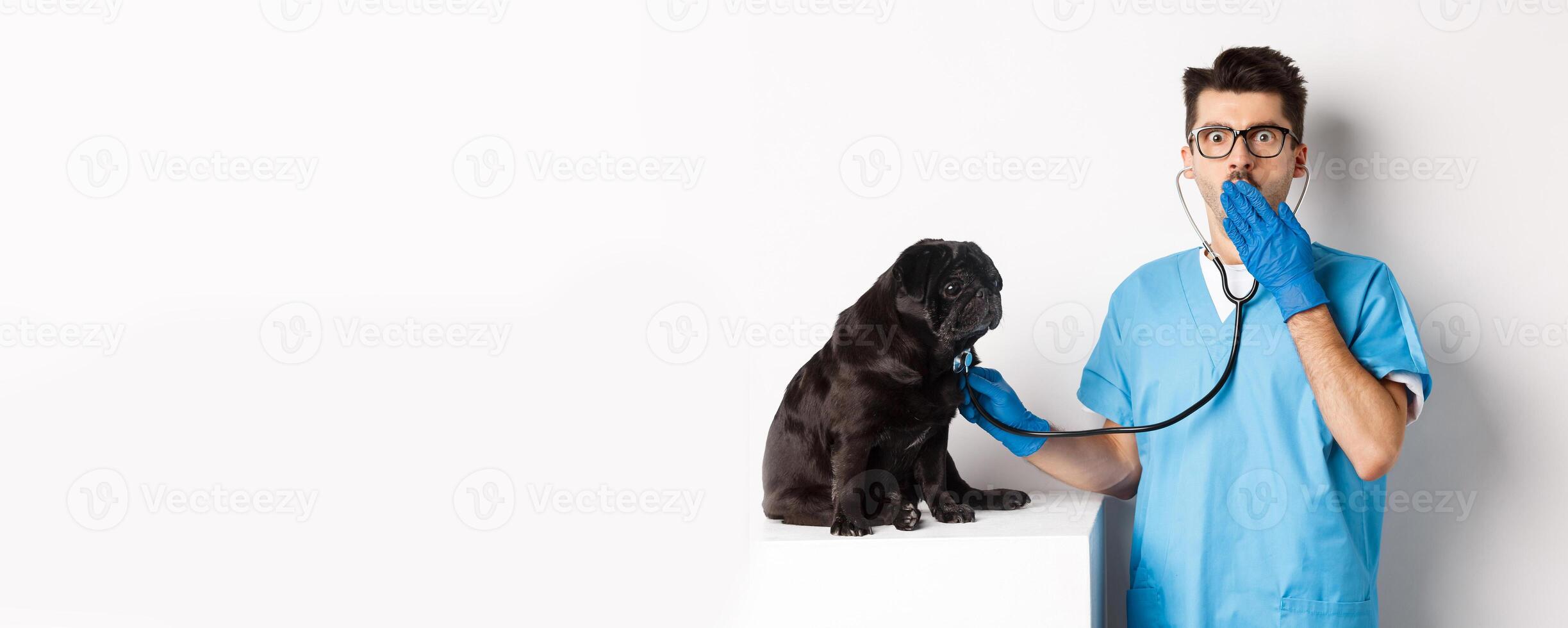 Shocked doctor in vet clinic examining dog with stethoscope, gasping amazed at camera while cute black pug sitting still on table, white background photo