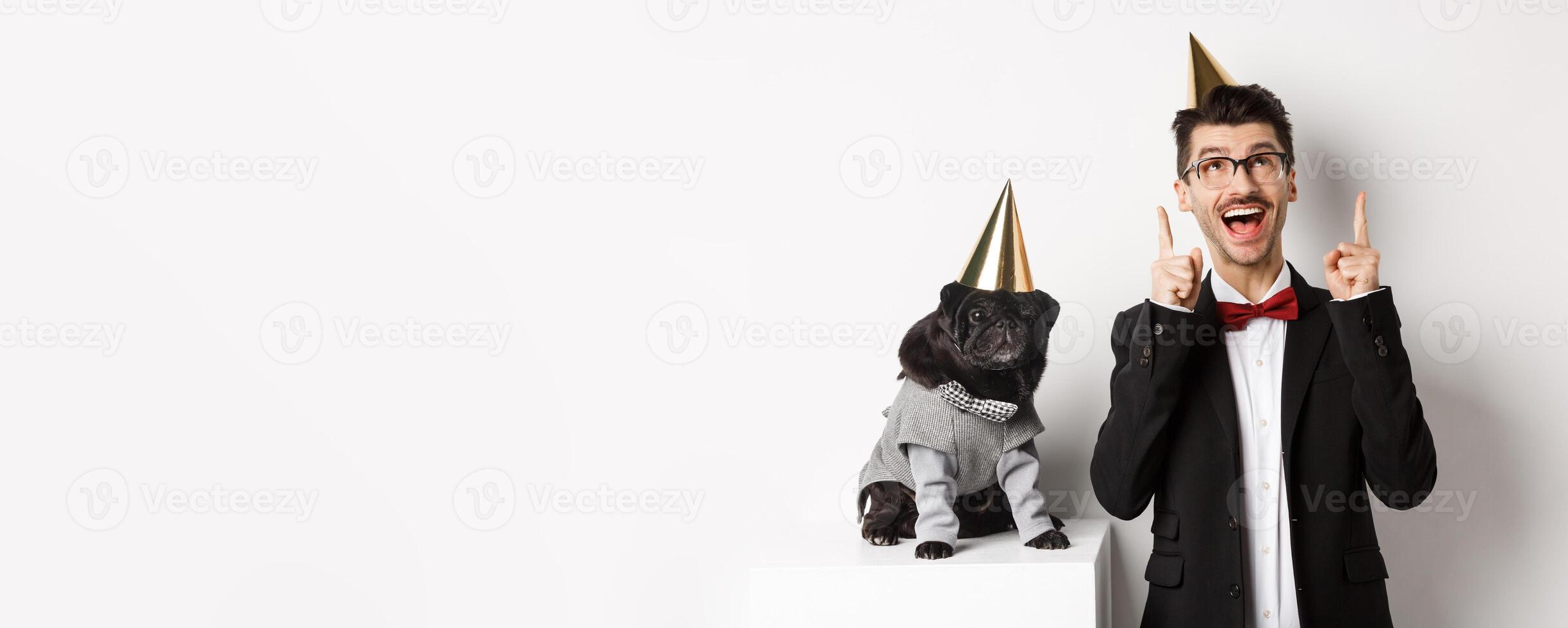 Cute black pug dog wearing party cone and standing near happy owner, man pointing fingers up at copy space, celebrating birthday, white background photo
