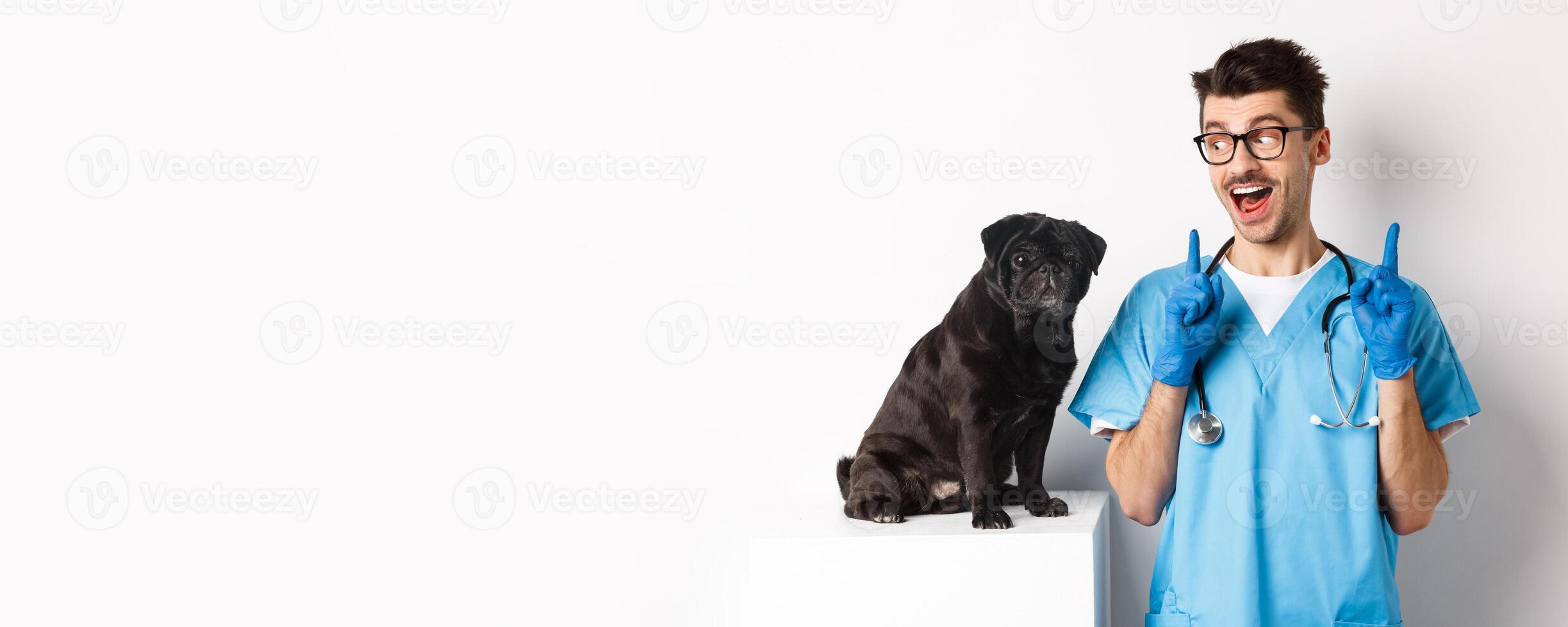 Cheerful handsome veteriantian in scrubs staring happy at cute little dog pug and smiling, pointing fingers up at promo offer, white background photo