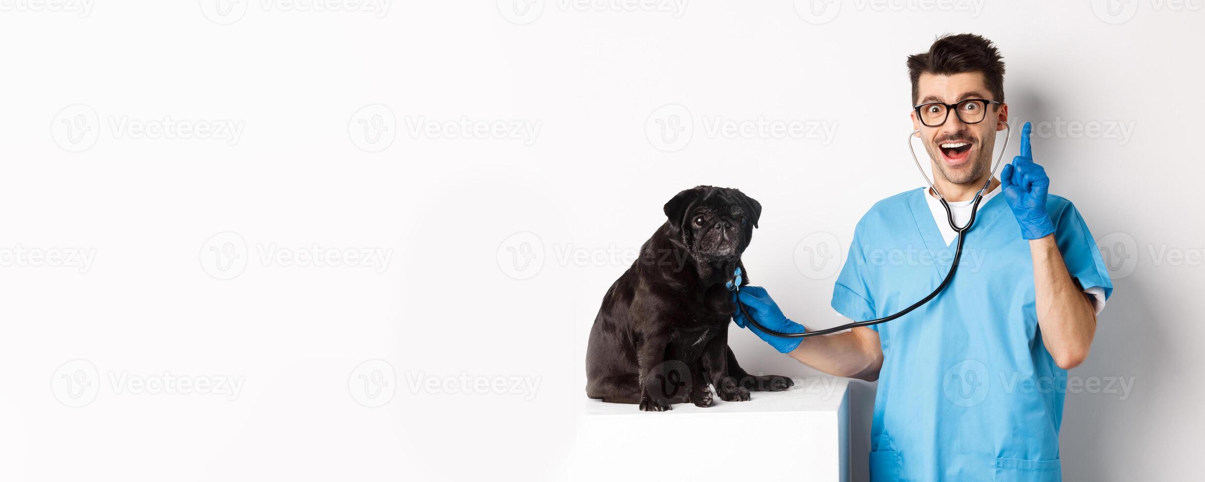 Excited male doctor veterinarian having an idea while examining cute pug dog with stethoscope, raising finger in eureka sign, white background photo