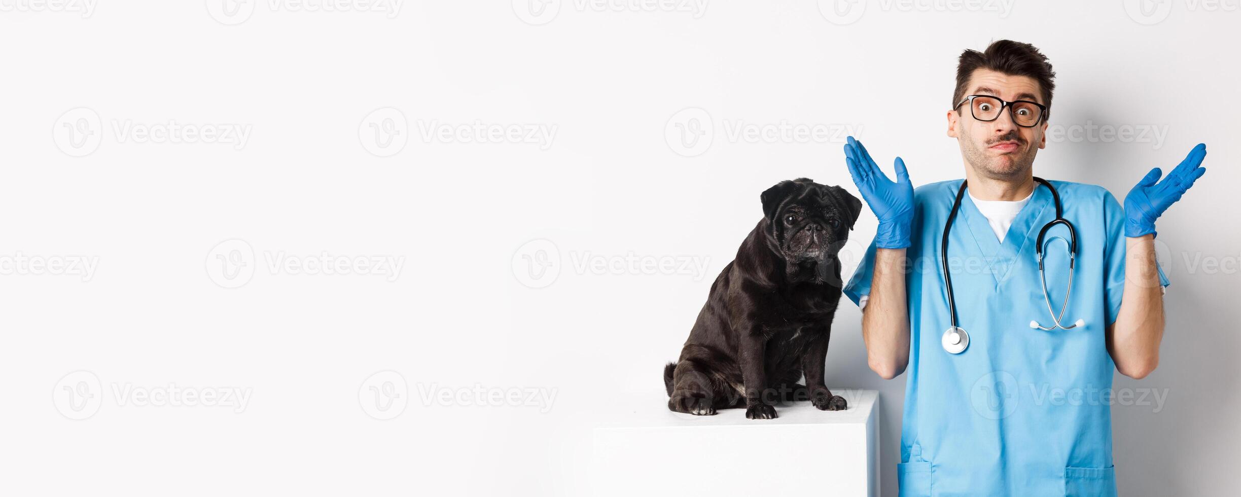 Clueless doctor veteriantian in scrubs shrugging, staring at camera confused while dog sitting on examination table and waiting for check-up, white background photo