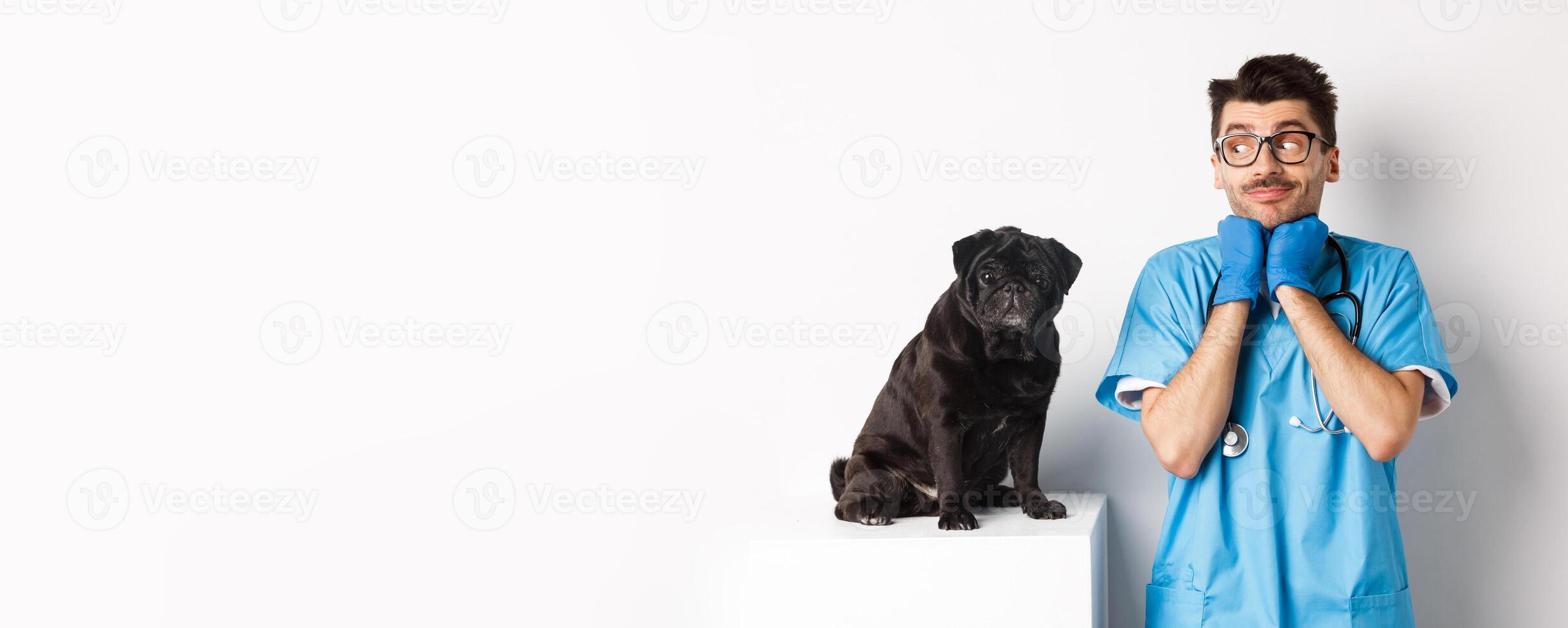 Image of handsome male doctor veterinarian looking at cute black pug dog sitting on table, admiring puppy cuteness, standing over white background photo